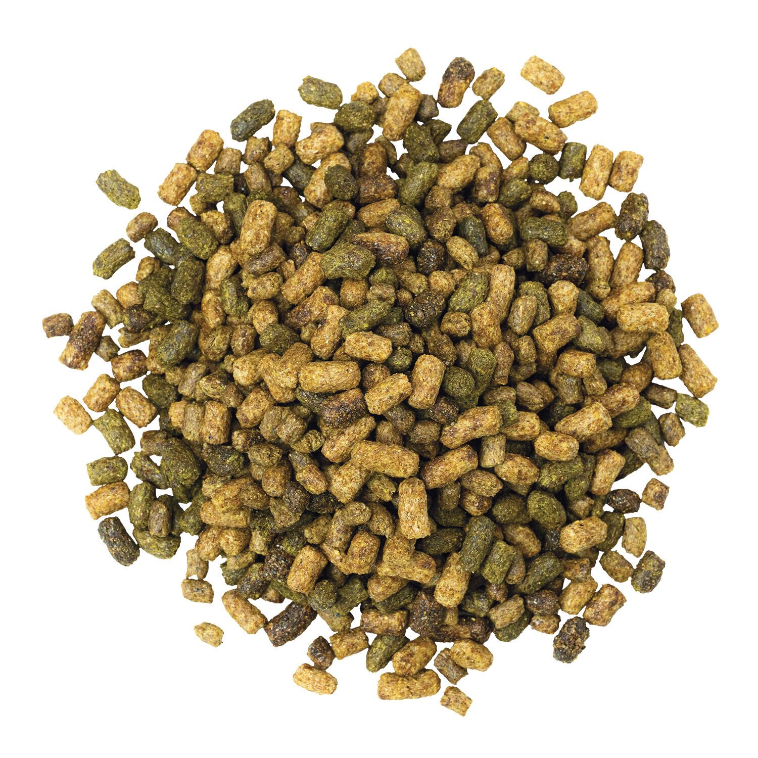 Sentinel Grow & Excel