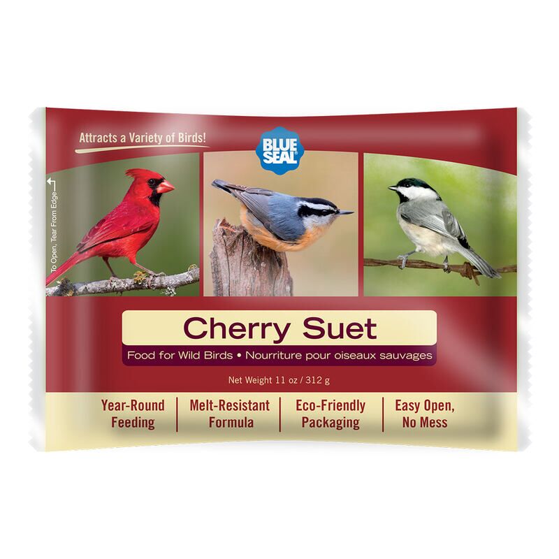 Cherry Suet Cake