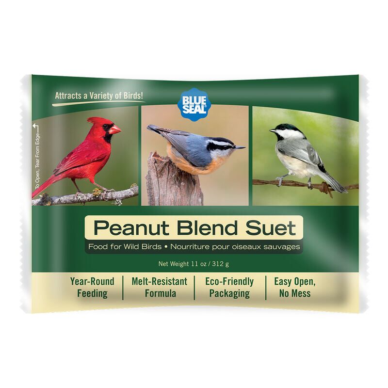 Peanut Blend Suet Cake