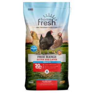 Home Fresh Extra Egg Layer Free Range