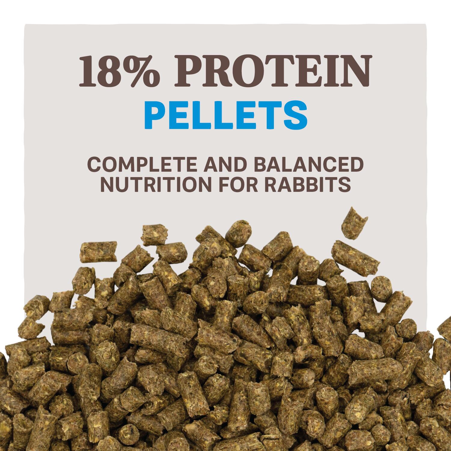 Home Fresh Top Hutch