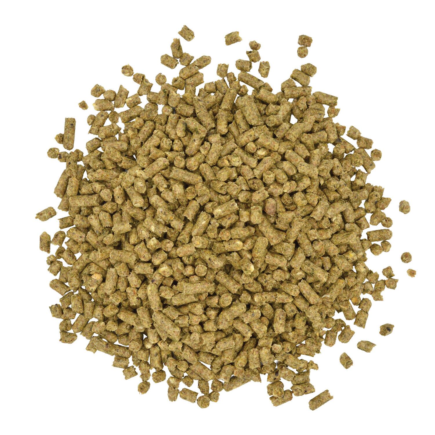 Sentinel Care Carb-Guard