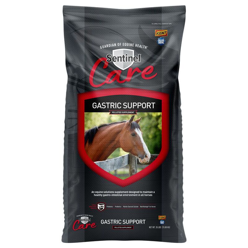 Sentinel Care Gastric Support