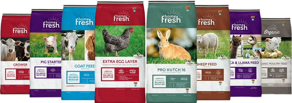 UBS-home-fresh-lockup-FULL-LINE_1000