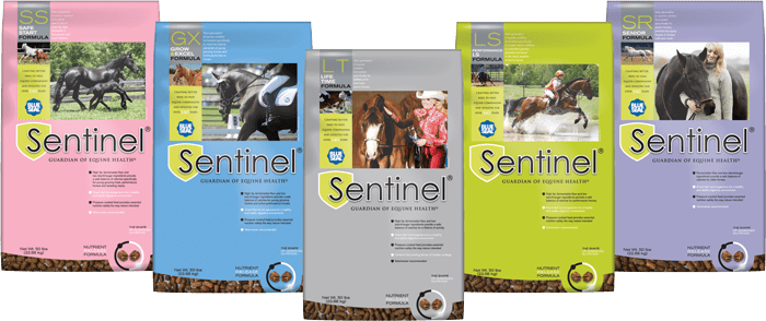 Blue Seal Sentinel bags