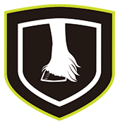 Healthy Skin and Hair Coat icon