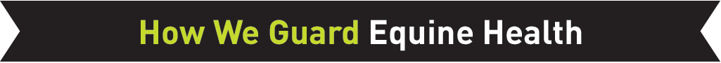 How We Guard Equine Health