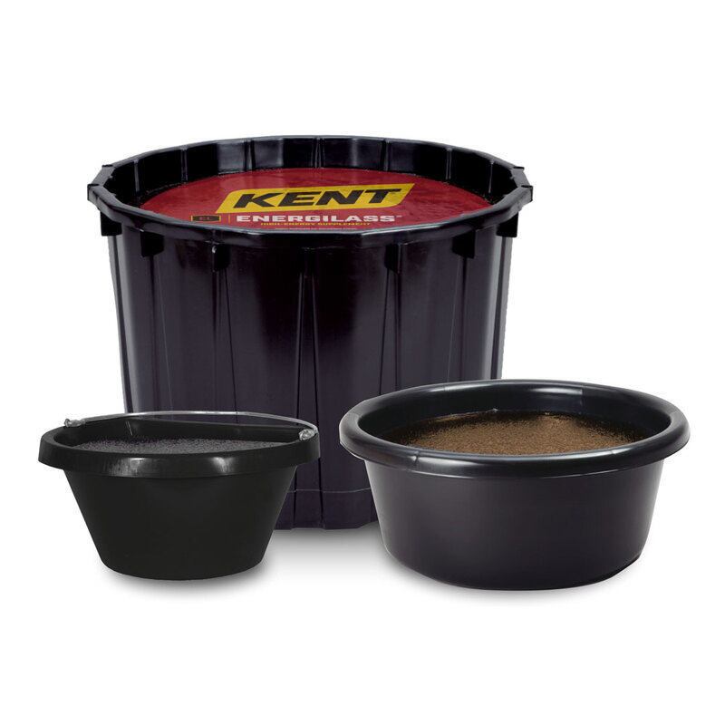 EnergiLass Rumen Booster