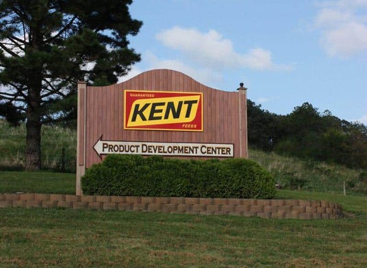 kent 1955